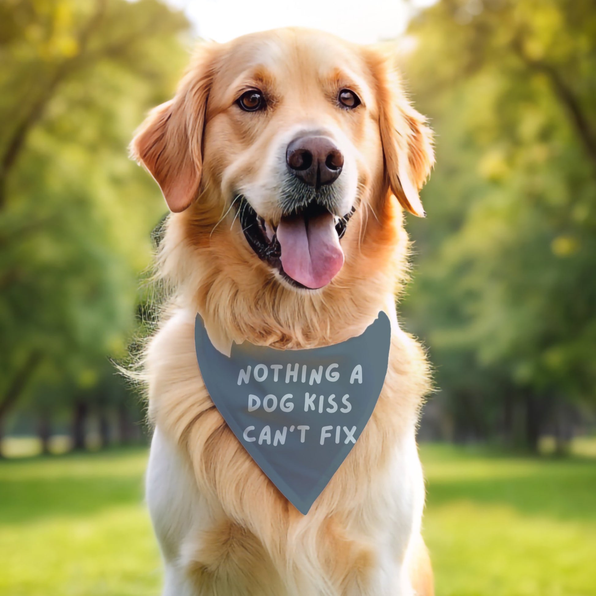 Nothing a Dog Kiss Can't Fix Bandana - The Pawsitive Initiative