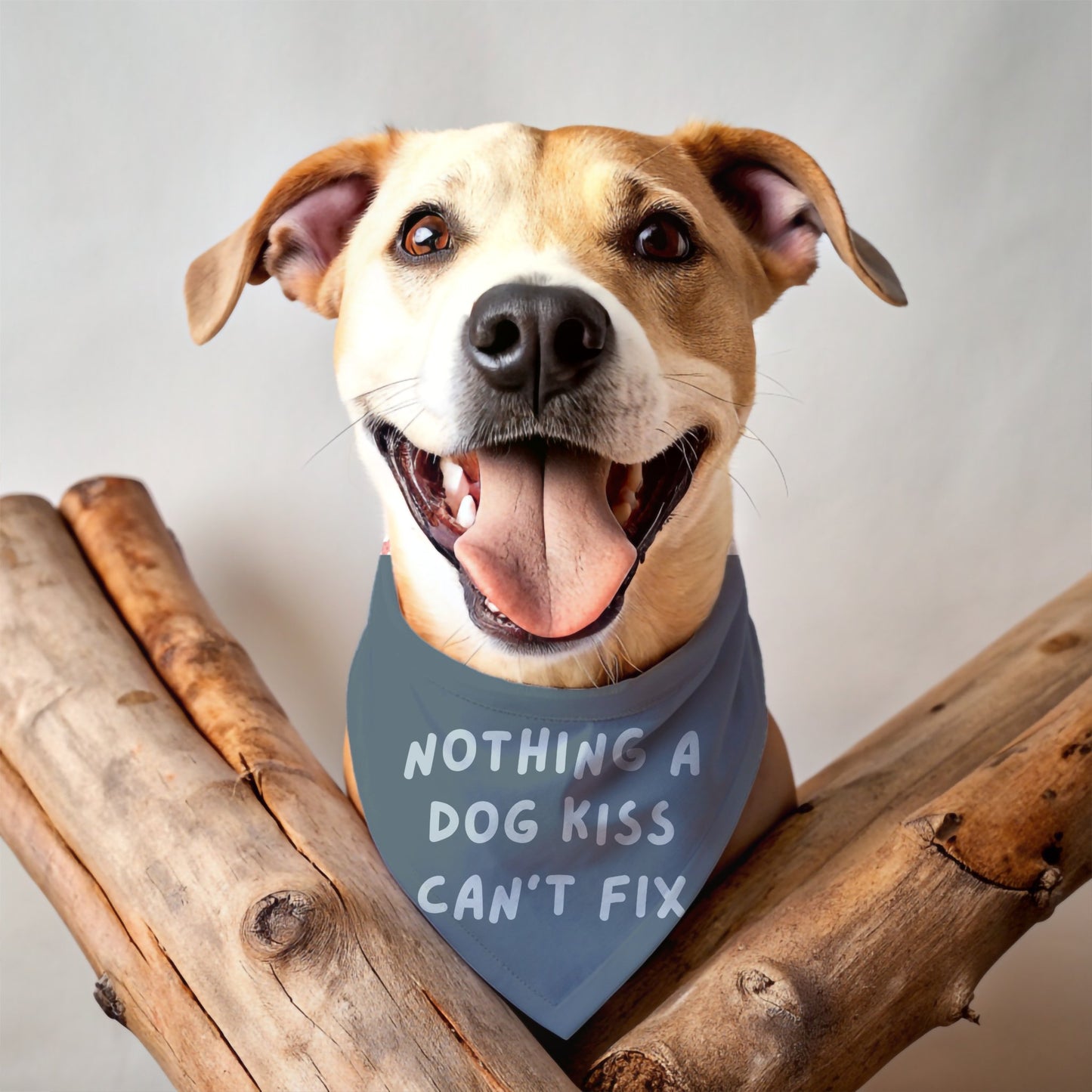 Nothing a Dog Kiss Can't Fix Bandana - The Pawsitive Initiative