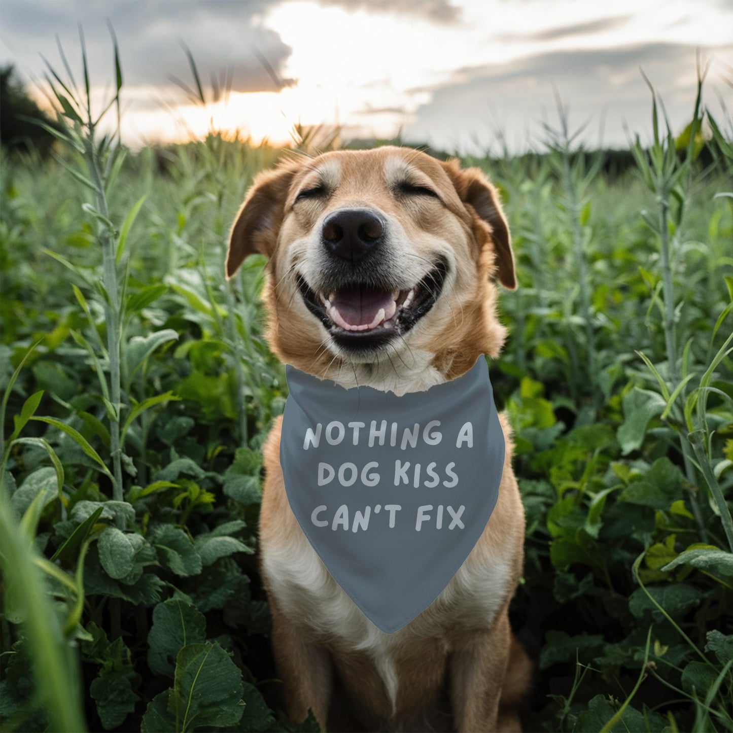 Nothing a Dog Kiss Can't Fix Bandana - The Pawsitive Initiative