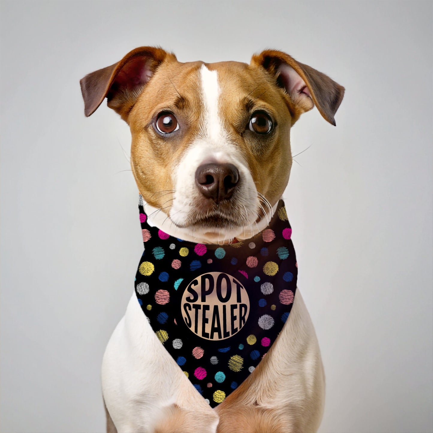 Spot Stealer Bandana - The Pawsitive Initiative