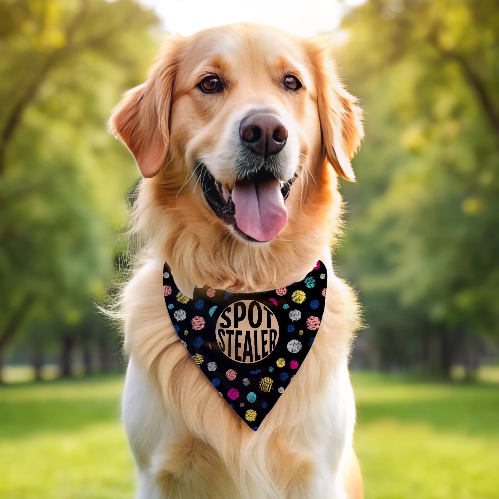 Spot Stealer Bandana - The Pawsitive Initiative