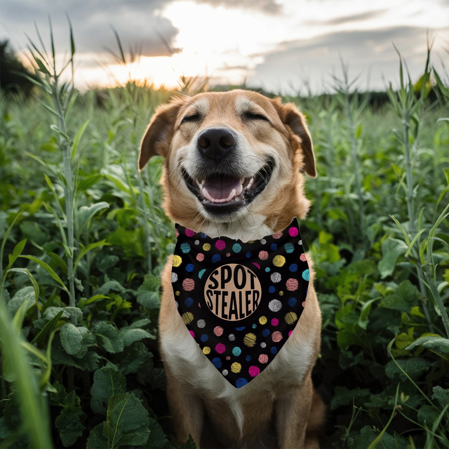 Spot Stealer Bandana - The Pawsitive Initiative