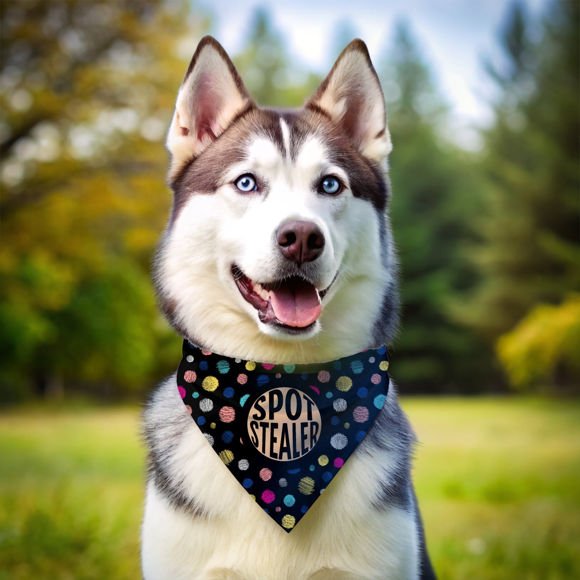 Spot Stealer Bandana - The Pawsitive Initiative