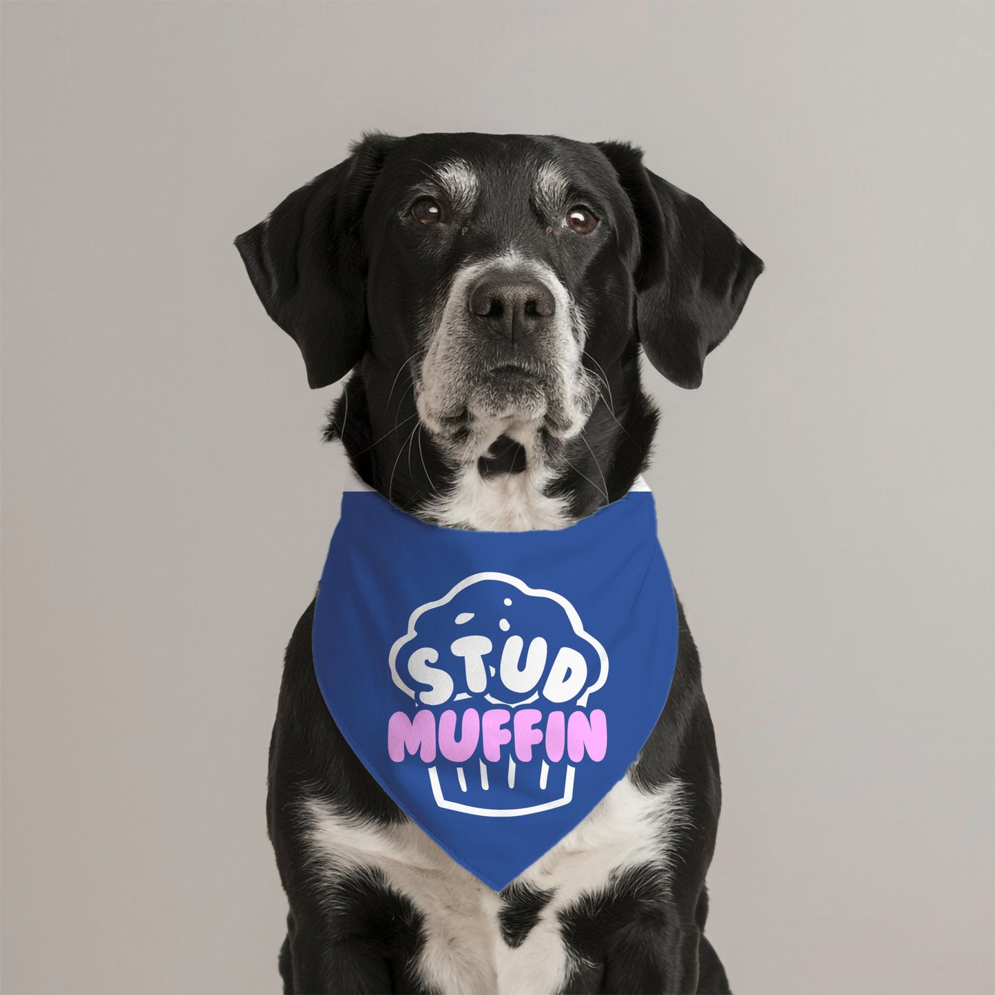 Stud Muffin Bandana - The Pawsitive Initiative