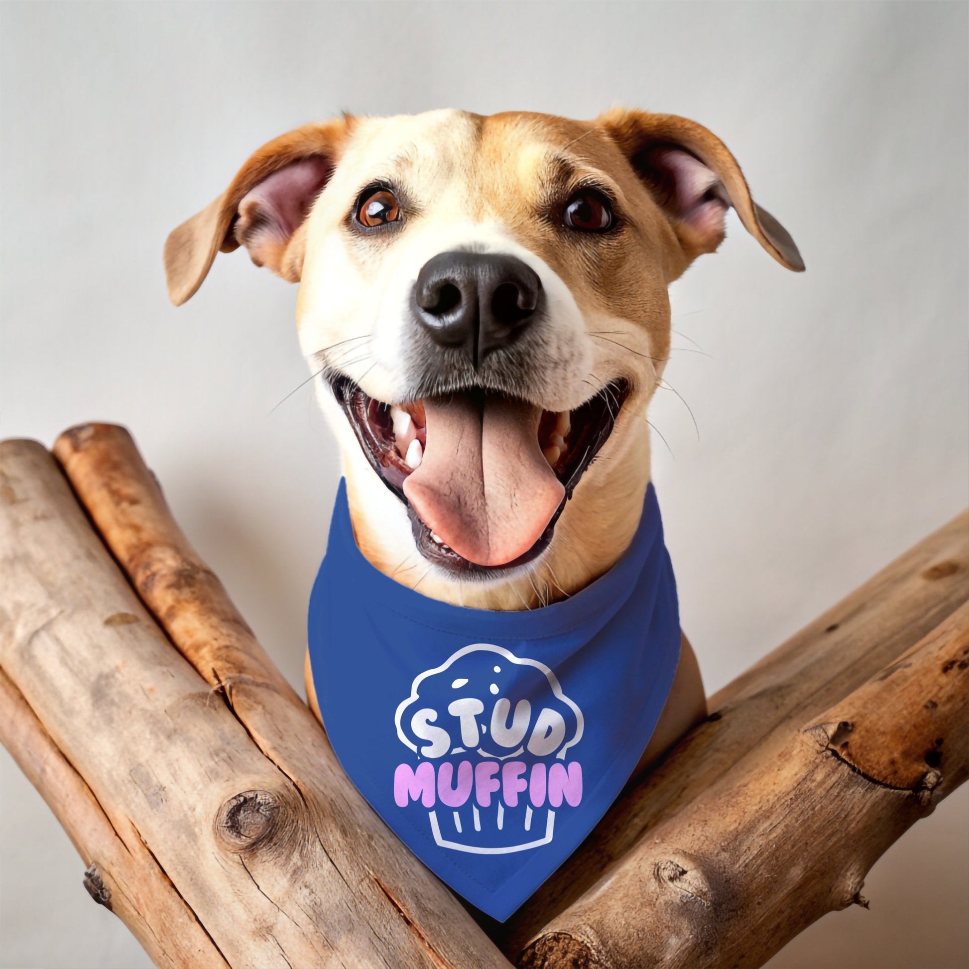Stud Muffin Bandana - The Pawsitive Initiative