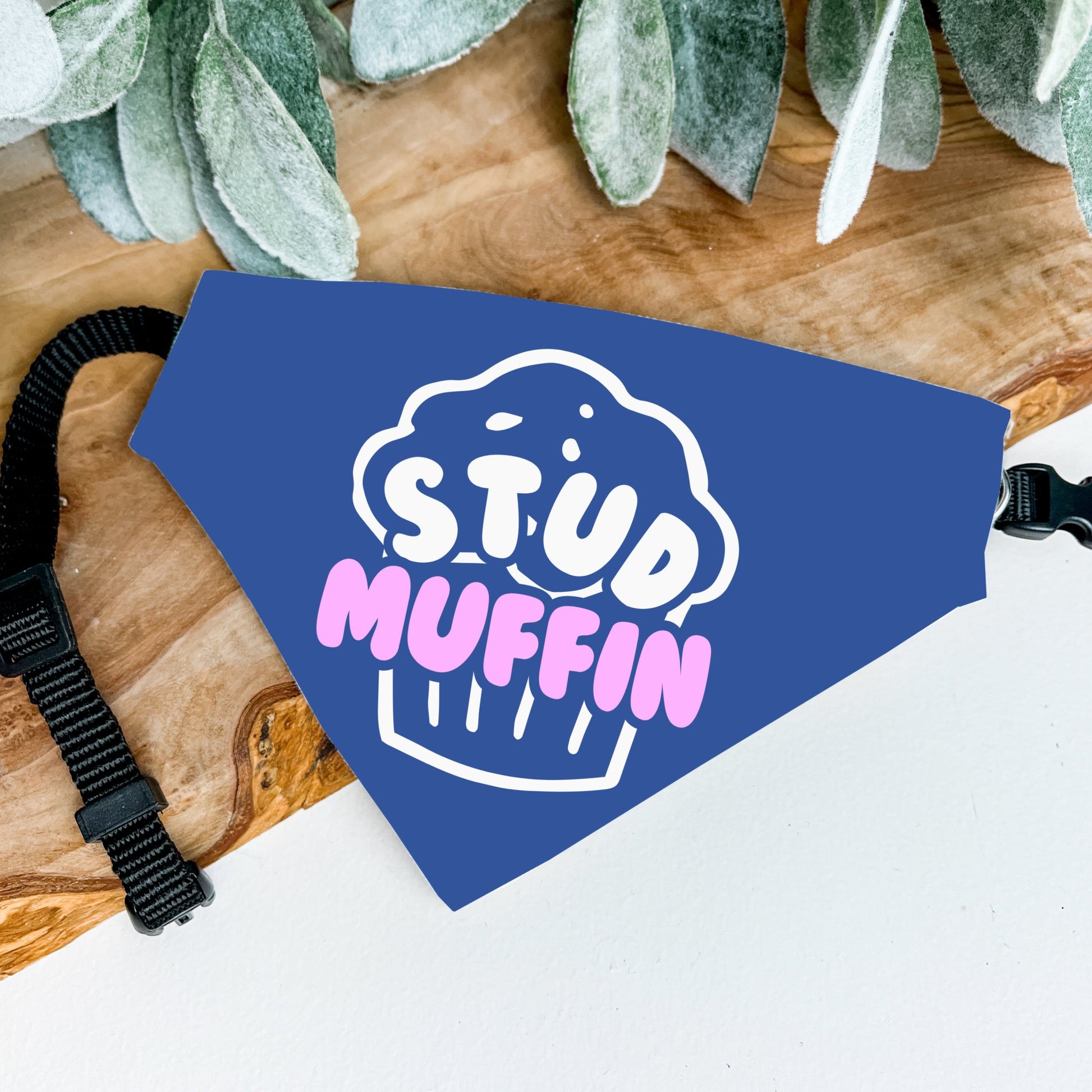 Stud Muffin Bandana - The Pawsitive Initiative