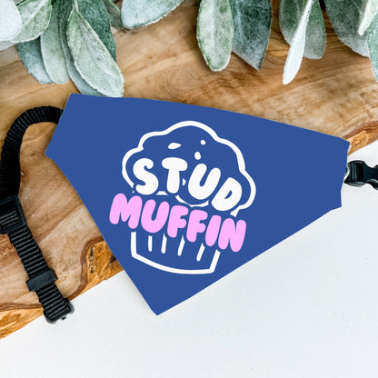 Stud Muffin Bandana - The Pawsitive Initiative