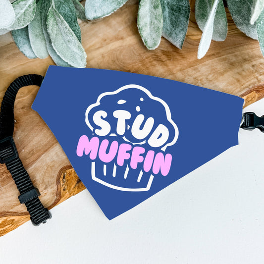 Stud Muffin Bandana - The Pawsitive Initiative